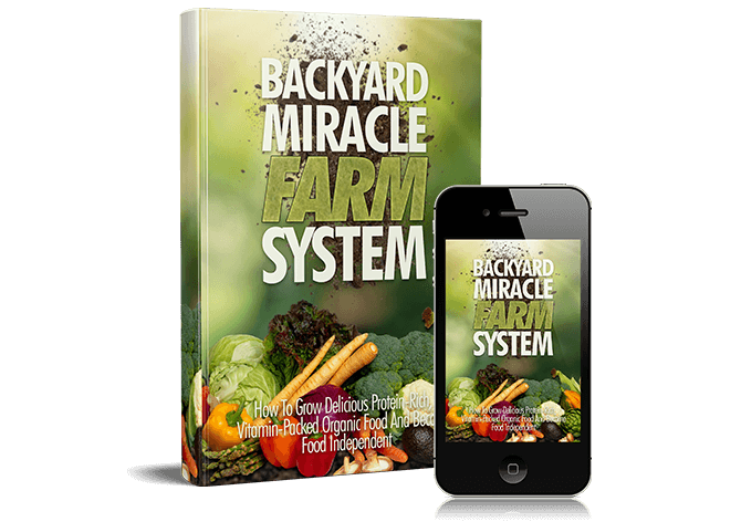 Backyard Miracle Farm | Cultivating Hope and Abundance